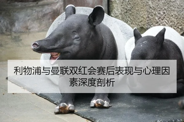 利物浦与曼联双红会赛后表现与心理因素深度剖析